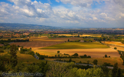 Almost Tuscan like fields