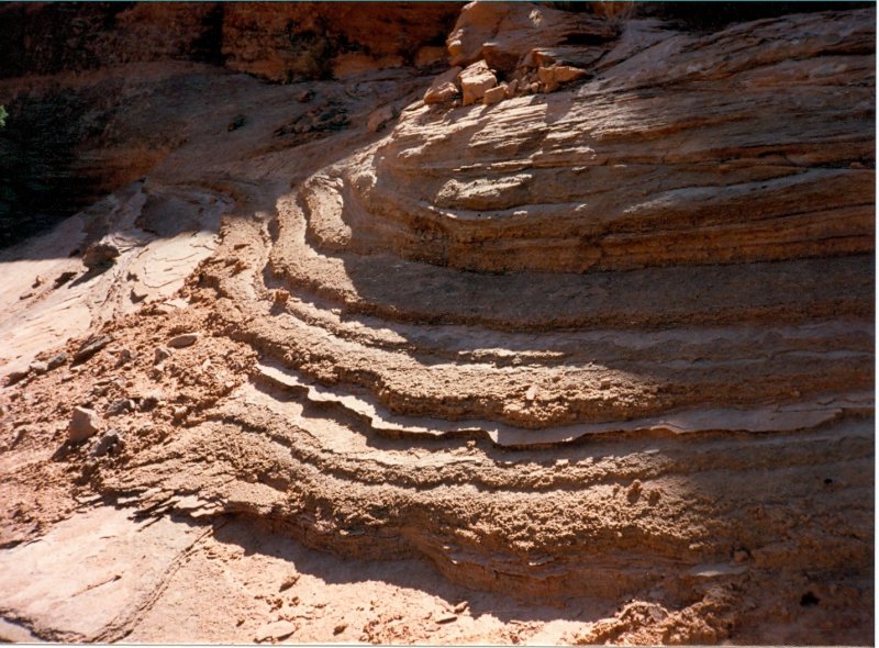 Cross bedded sandstone--  Mountain Sheep Canyon