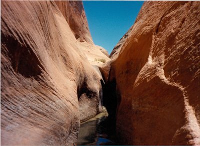 End of Fork in Anasazi Canyon
