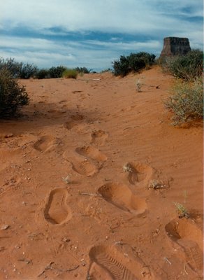 Exploring above Labyrinth Canyon - Our Footprints