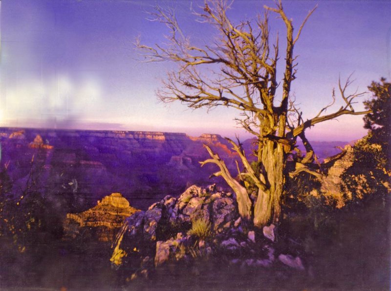 South Ridge Grand Canyon