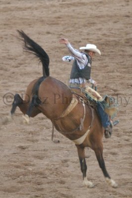 Rodeo at Nephi (Utah)