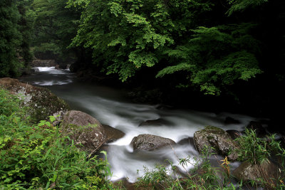 Lovery wild stream