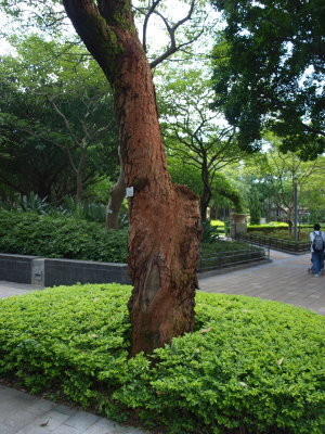 P5210282.JPG