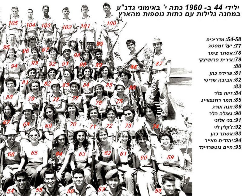 -  44   15