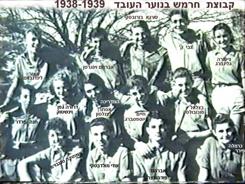    2.jpg