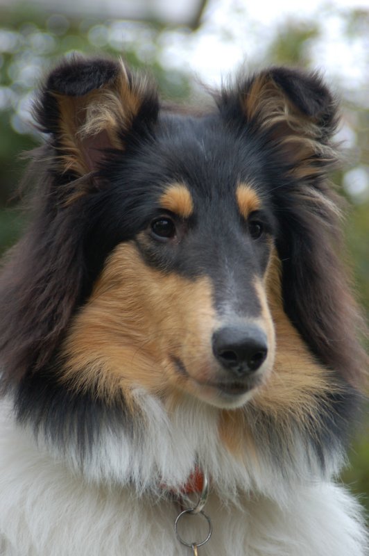 DSC_0008.JPG