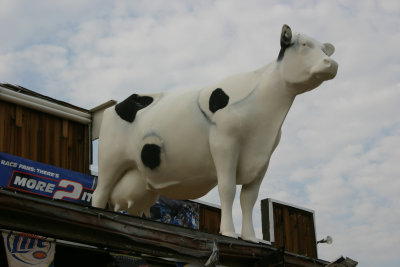 CRW_7079.jpg