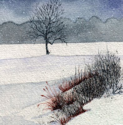 Tree in Snow, 4 x 4 11-09