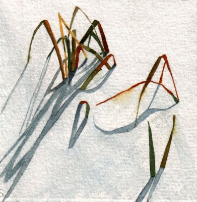 Winter Grasses, 4 x 4 11-09