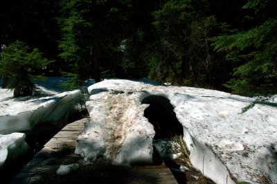 snow dome