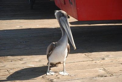 DSC_2517.jpg