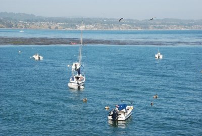 DSC_2533.jpg