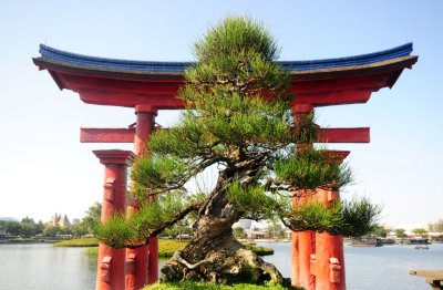 Japan