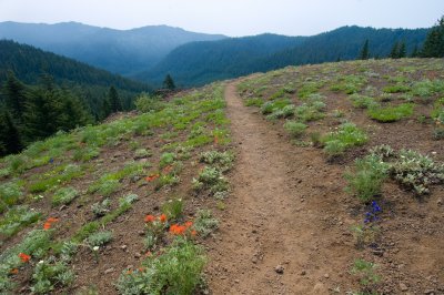 cone peak trail