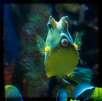 aquarium7906.jpg