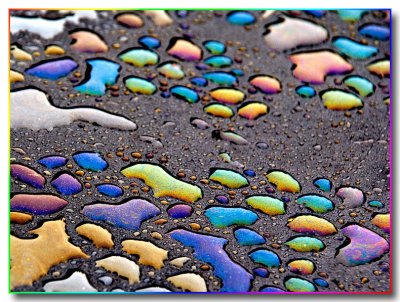 3oil2650 copy.jpg