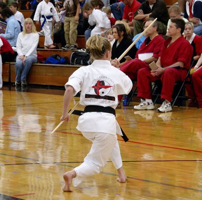 karate2733.jpg