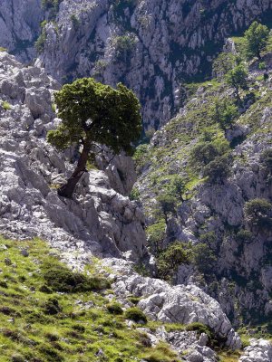 Durante la ruta (Poncebos a Cain)