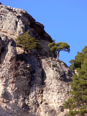 Nacimiento Ro Cuervo