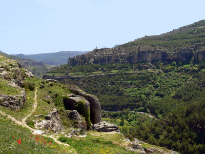 Vistas