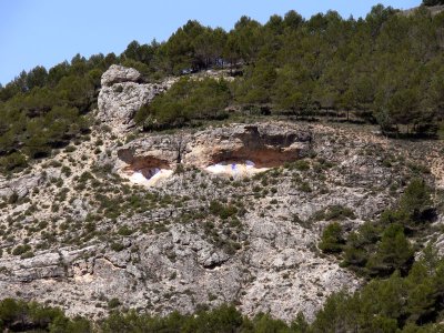 Ojos en la roca
