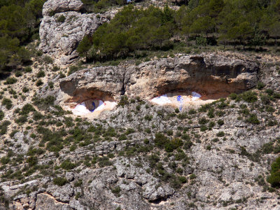 Ojos en la roca