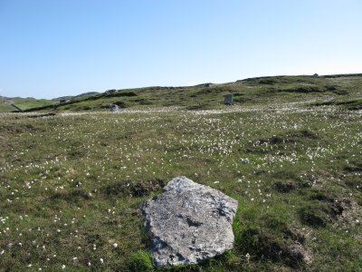 Stone circle at Loch Raoinebhat