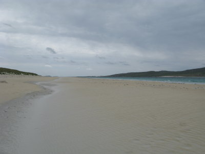 the beach