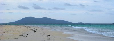 Beach.jpg