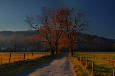 Cades Cove1.jpg