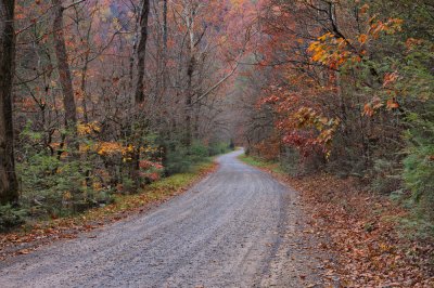 DP_1167.jpg