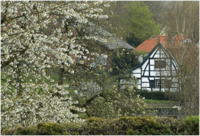 Noorbeek - voorjaar