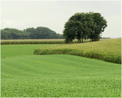 landschap in Haasdal op 25 sept 2006