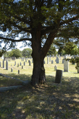 South Yarmouth Burial Ground 12.jpg