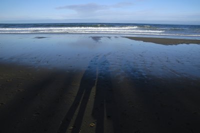 Nauset self portrait-1.jpg