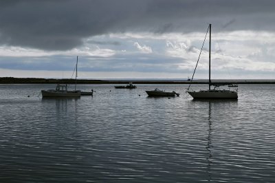 Wellfleet-1.jpg