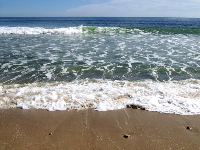 Cahoons Hollow