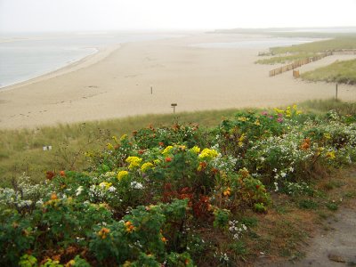 Chatham