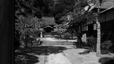 Shrine within a shrine (_DSC0062.jpg)