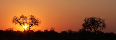 IMG_9932.JPG