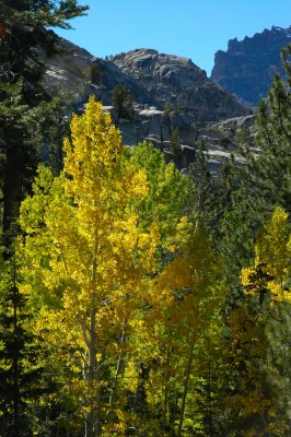 DSC_0108.JPG
