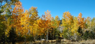 DSC_0114.JPG