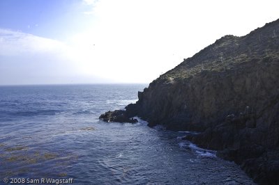 g5/68/763068/3/99261328.jYhpUili.jpg
