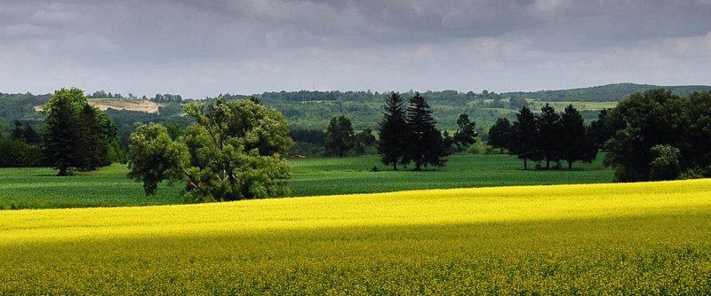 West of Peterborough, Ontario