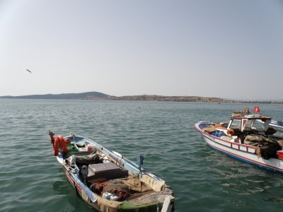 Boats in Ayvalik Harbour