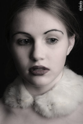 vdb-headshot-ferrets01-web.jpg