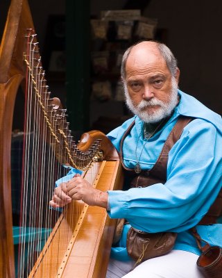 Harpist