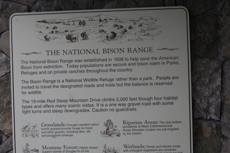 Heres what they say about bison.