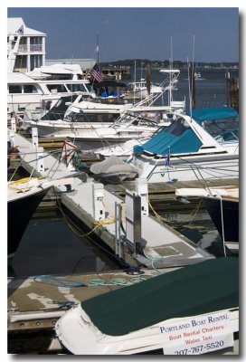 Then we walk around the marina.
